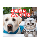 可愛い白い犬と猫（個別スタンプ：15）