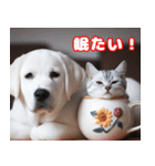 可愛い白い犬と猫（個別スタンプ：16）