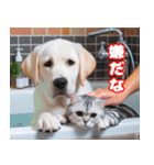 可愛い白い犬と猫（個別スタンプ：21）