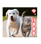 可愛い白い犬と猫（個別スタンプ：23）