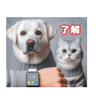 可愛い白い犬と猫（個別スタンプ：24）