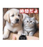 可愛い白い犬と猫（個別スタンプ：25）