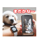 可愛い白い犬と猫（個別スタンプ：27）