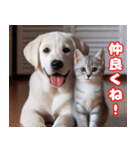 可愛い白い犬と猫（個別スタンプ：29）