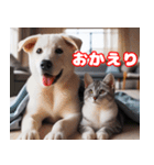 可愛い白い犬と猫（個別スタンプ：30）