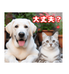 可愛い白い犬と猫（個別スタンプ：31）