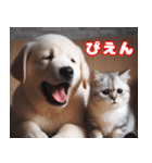 可愛い白い犬と猫（個別スタンプ：33）