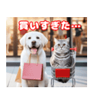 可愛い白い犬と猫（個別スタンプ：37）