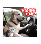 可愛い白い犬と猫（個別スタンプ：38）