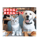 可愛い白い犬と猫（個別スタンプ：39）