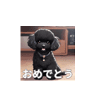 トイプードル（黒色）のLINEスタンプ（個別スタンプ：5）