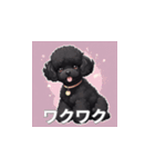 トイプードル（黒色）のLINEスタンプ（個別スタンプ：7）