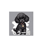 トイプードル（黒色）のLINEスタンプ（個別スタンプ：18）