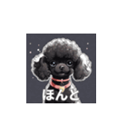 トイプードル（黒色）のLINEスタンプ（個別スタンプ：20）