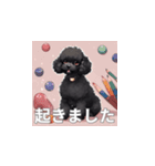 トイプードル（黒色）のLINEスタンプ（個別スタンプ：25）