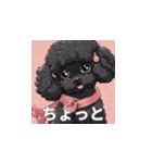 トイプードル（黒色）のLINEスタンプ（個別スタンプ：28）