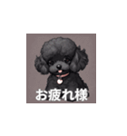 トイプードル（黒色）のLINEスタンプ（個別スタンプ：37）