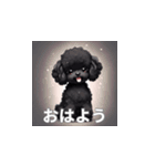 トイプードル（黒色）のLINEスタンプ（個別スタンプ：38）