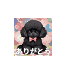 トイプードル（黒色）のLINEスタンプ（個別スタンプ：40）