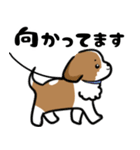 シーズー犬が好き 日常スタンプ 修正版（個別スタンプ：20）