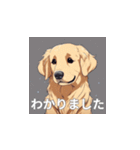 ゴールデンレトリバーのLINEスタンプ（個別スタンプ：9）