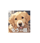 ゴールデンレトリバーのLINEスタンプ（個別スタンプ：17）