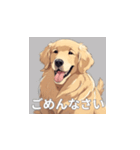 ゴールデンレトリバーのLINEスタンプ（個別スタンプ：33）