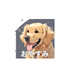 ゴールデンレトリバーのLINEスタンプ（個別スタンプ：36）