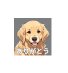 ゴールデンレトリバーのLINEスタンプ（個別スタンプ：38）