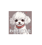 トイプードル（白色）のLINEスタンプ（個別スタンプ：9）