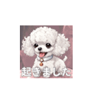 トイプードル（白色）のLINEスタンプ（個別スタンプ：26）