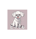 トイプードル（白色）のLINEスタンプ（個別スタンプ：28）