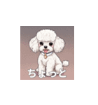 トイプードル（白色）のLINEスタンプ（個別スタンプ：29）