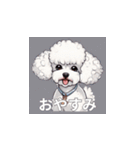 トイプードル（白色）のLINEスタンプ（個別スタンプ：38）