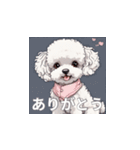 トイプードル（白色）のLINEスタンプ（個別スタンプ：40）