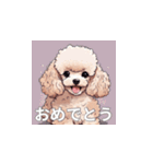 トイプードル（茶色）のLINEスタンプ（個別スタンプ：6）