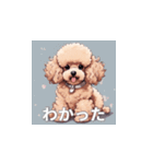 トイプードル（茶色）のLINEスタンプ（個別スタンプ：10）