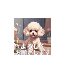 トイプードル（茶色）のLINEスタンプ（個別スタンプ：12）