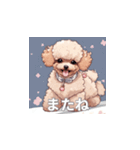 トイプードル（茶色）のLINEスタンプ（個別スタンプ：22）