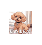 トイプードル（茶色）のLINEスタンプ（個別スタンプ：23）