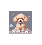 トイプードル（茶色）のLINEスタンプ（個別スタンプ：37）