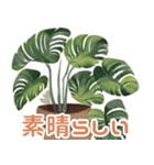 開運植物（個別スタンプ：1）