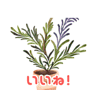 開運植物（個別スタンプ：5）