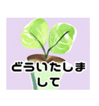 開運植物（個別スタンプ：8）