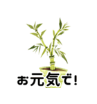 開運植物（個別スタンプ：12）