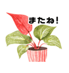 開運植物（個別スタンプ：13）