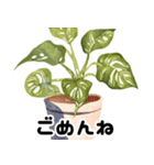 開運植物（個別スタンプ：14）