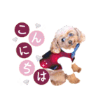 alice＆ameri（個別スタンプ：2）