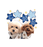 alice＆ameri（個別スタンプ：3）