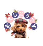alice＆ameri（個別スタンプ：5）